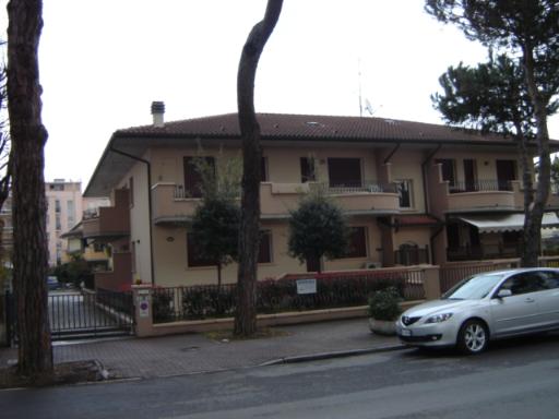 binzoni ceccarelli 2